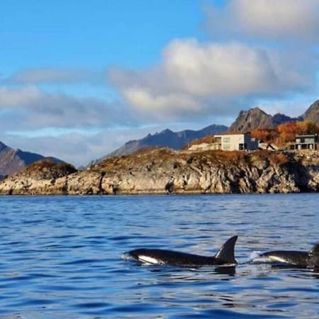 Amazing Seaview Lodge, Kabelvag Bagian luar foto