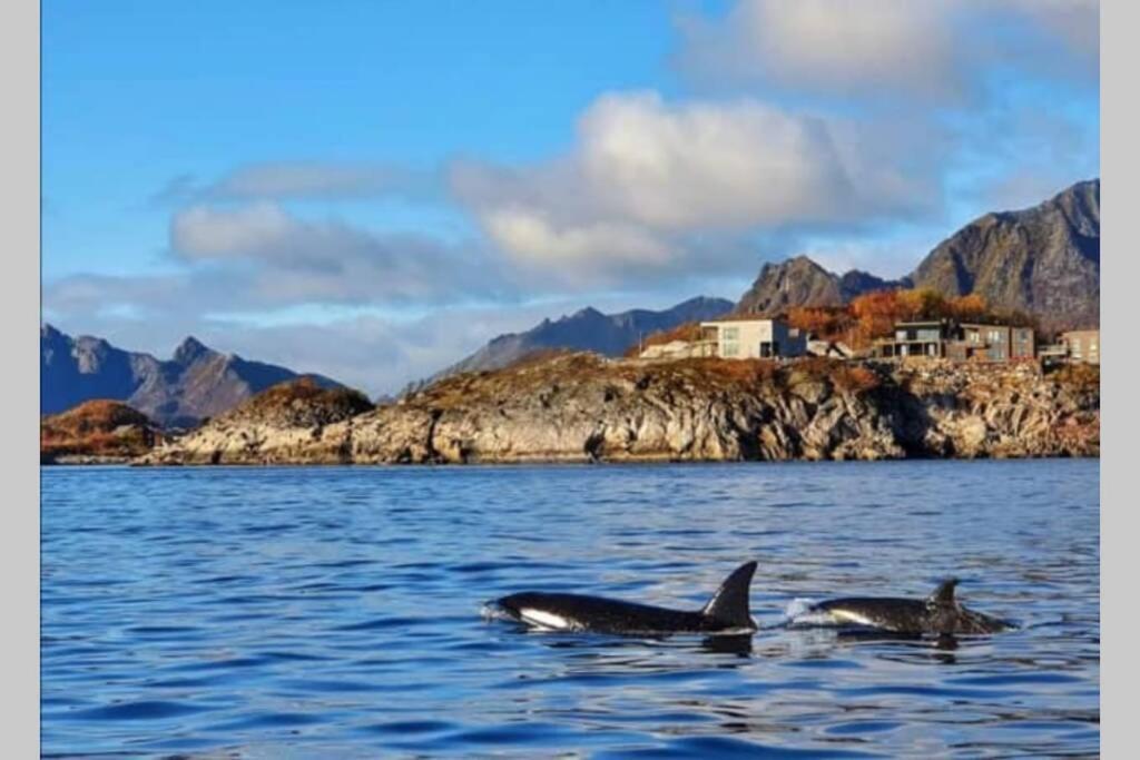 Amazing Seaview Lodge, Kabelvag Bagian luar foto
